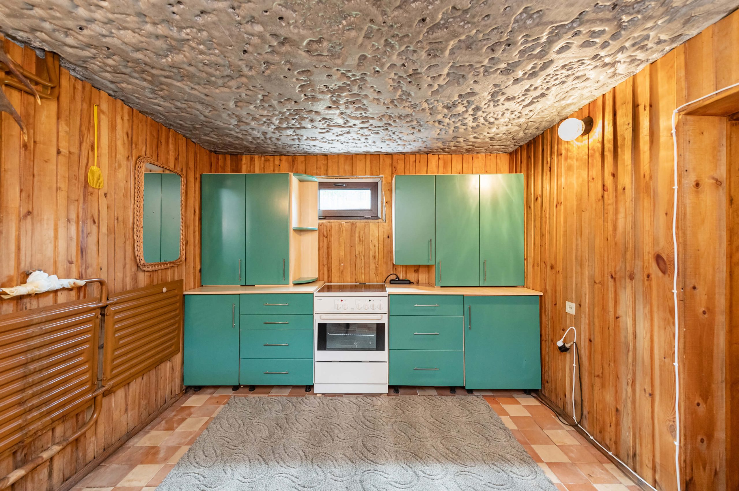 Išpuoselėta sodyba-namas su erdviu (22 a.) kraštiniu sklypu