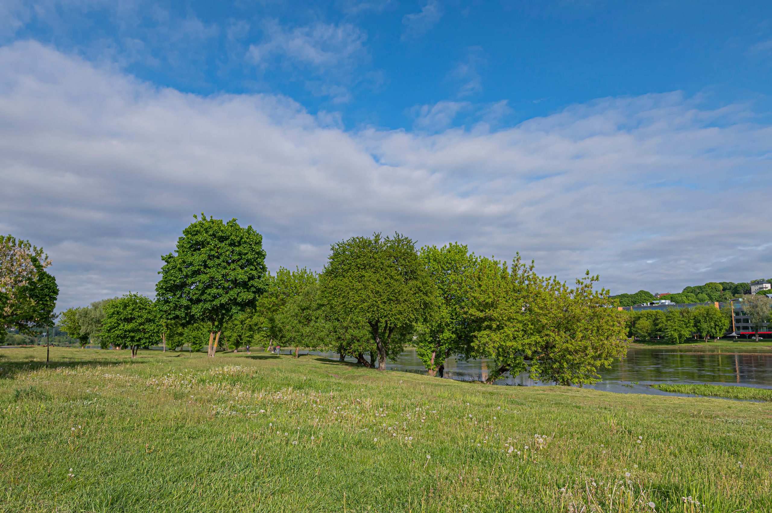 PARDUODAMAS DVIEJŲ KAMBARIŲ BUTAS