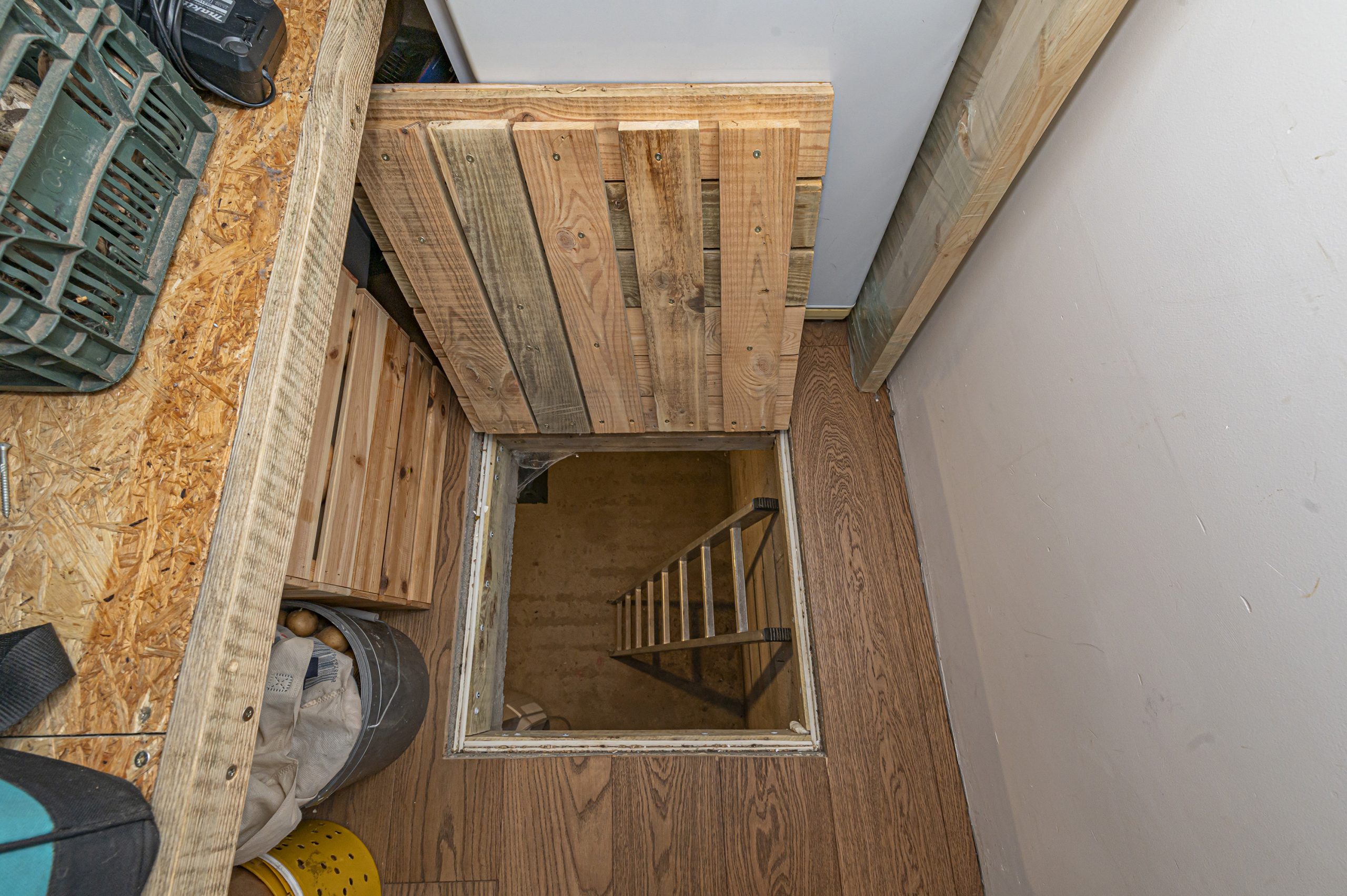 A+ klasės namas tarpe pušynų ir Neries (Salupiai)