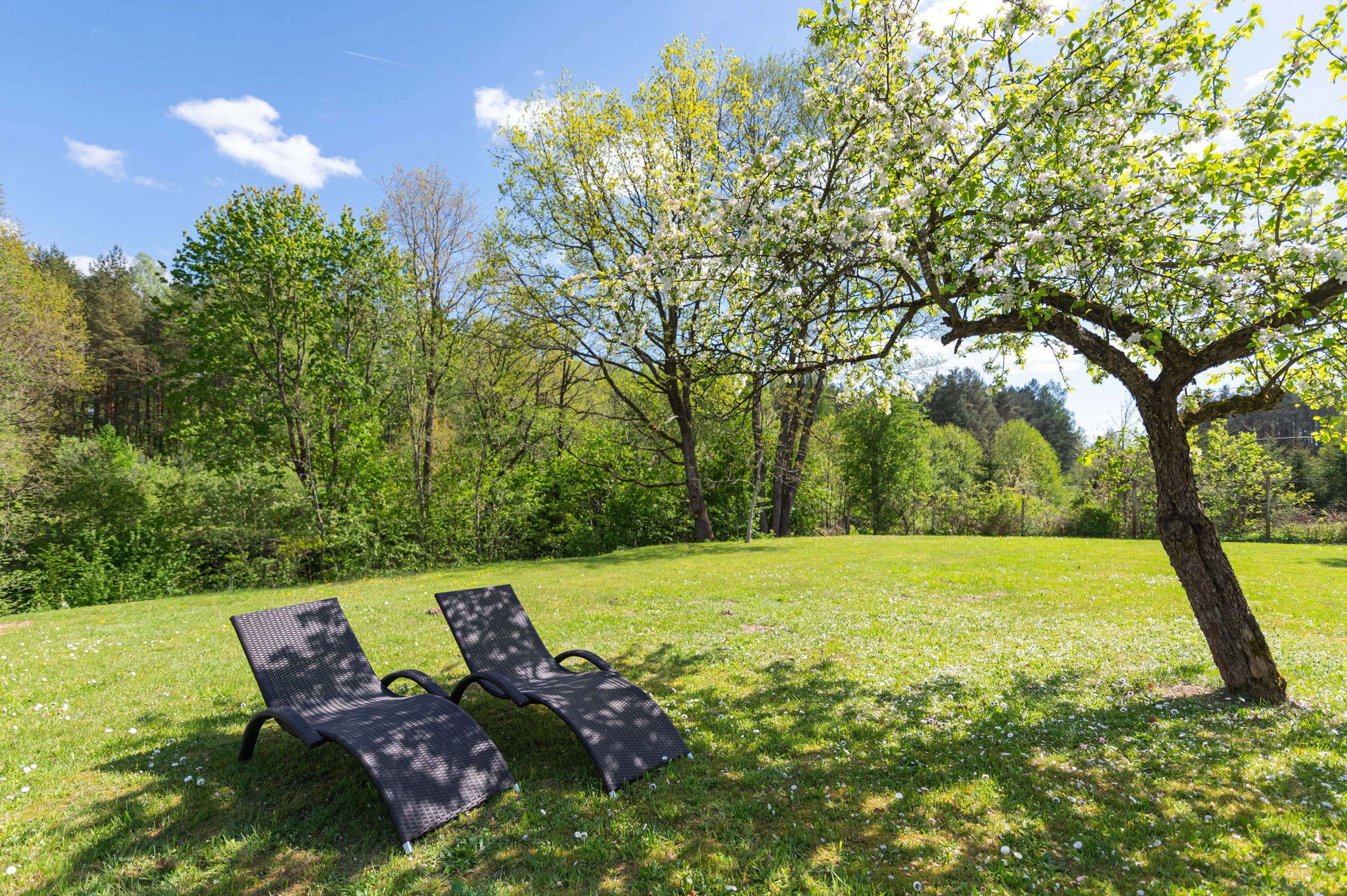 Išpuoselėta sodyba-namas su erdviu (22 a.) kraštiniu sklypu